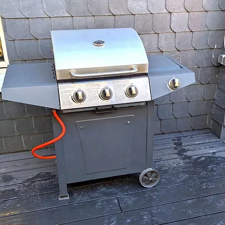 Arode Harzensfreund 펜션 *