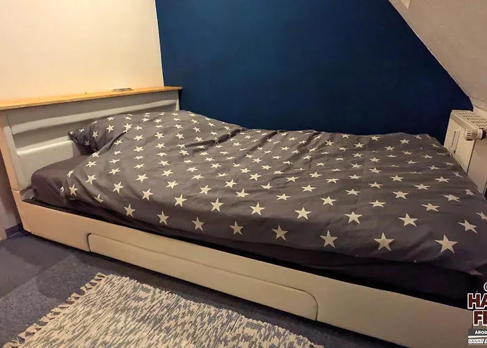 Arode Harzensfreund * 圣安德里斯伯格