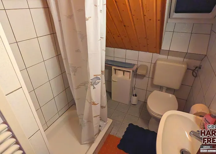 Arode Harzensfreund 度假居