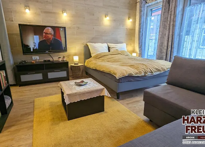 度假居 Arode Harzensfreund 圣安德里斯伯格